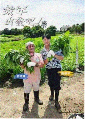 舞蹈风暴 综艺在线免费观看